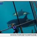 Marineland - Orques - spectacle 15h15 - 5417