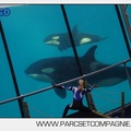 Marineland - Orques - spectacle 15h15 - 5418