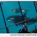 Marineland - Orques - spectacle 15h15 - 5419