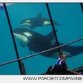 Marineland - Orques - spectacle 15h15 - 5420