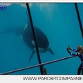 Marineland - Orques - spectacle 15h15 - 5422