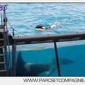 Marineland - Orques - spectacle 15h15 - 5430