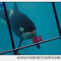 Marineland - Orques - spectacle 15h15 - 5438