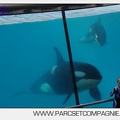 Marineland - Orques - spectacle 15h15 - 5441
