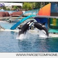 Marineland - Orques - spectacle 15h15 - 5444