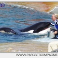 Marineland - Orques - spectacle 15h15 - 5449