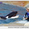 Marineland - Orques - spectacle 15h15 - 5451