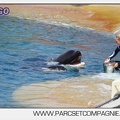 Marineland - Orques - spectacle 15h15 - 5453