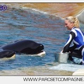 Marineland - Orques - spectacle 15h15 - 5455