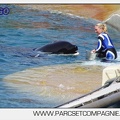 Marineland - Orques - spectacle 15h15 - 5456