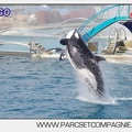 Marineland - Orques - spectacle 15h15 - 5458
