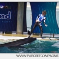 Marineland - Orques - spectacle 15h15 - 5459