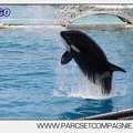 Marineland - Orques - spectacle 15h15 - 5462