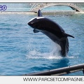 Marineland - Orques - spectacle 15h15 - 5463