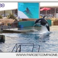 Marineland - Orques - spectacle 15h15 - 5464
