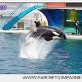 Marineland - Orques - spectacle 15h15 - 5465