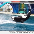 Marineland - Orques - spectacle 15h15 - 5467