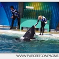 Marineland - Orques - spectacle 15h15 - 5468