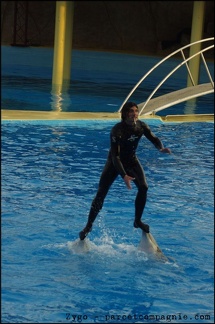 Marineland - Dauphins - Spectacle 17h00 - 064