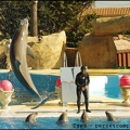 Marineland - Dauphins - Spectacle 14h30 - 049