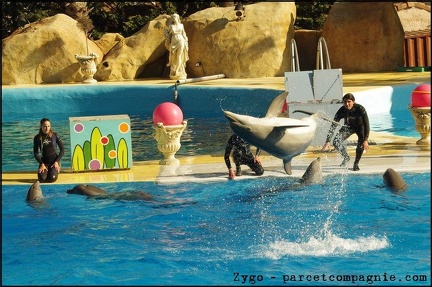 Marineland - Dauphins - Spectacle 14h30 - 071