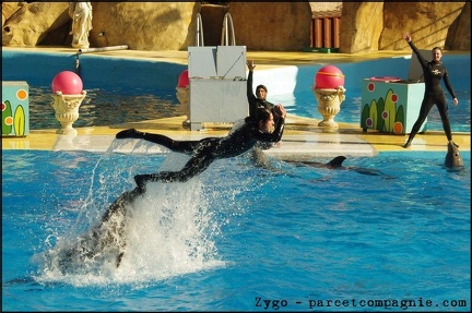 Marineland - Dauphins - Spectacle 14h30 - 072