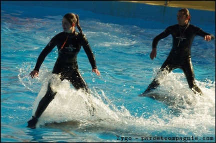 Marineland - Dauphins - Spectacle 14h30 - 075