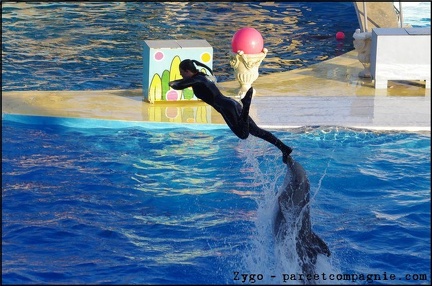 Marineland - Dauphins - Spectacle 17h00 - 094