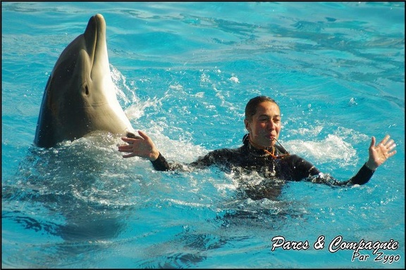 Marineland - Dauphins - Spectacle 14h30 - 026